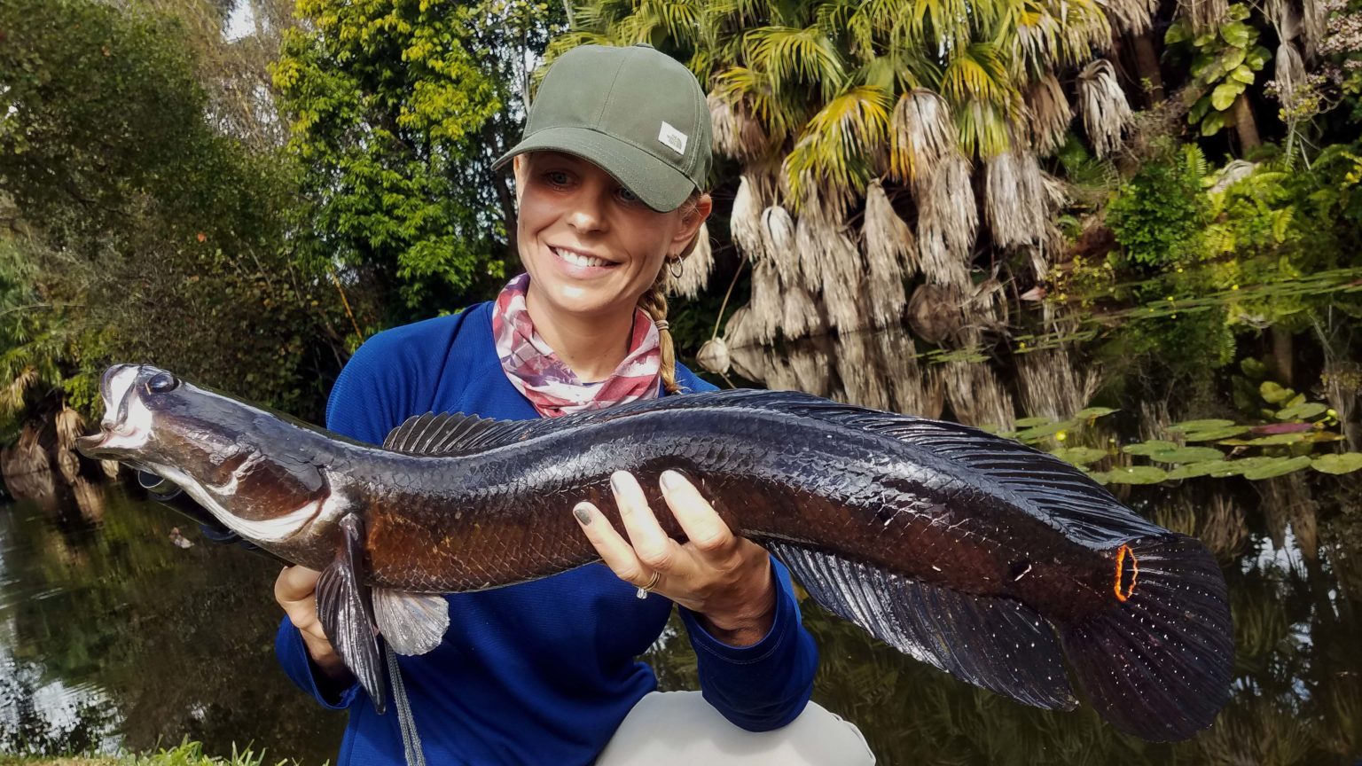 how-the-snakehead-earned-a-spot-on-freshwater-bucket-lists-shefishes2